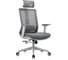 Кресло компьютерное EVOLUTION ERGO BLISS Grey 1
