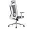 Кресло компьютерное EVOLUTION ERGO BLISS Grey 4