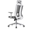 Кресло компьютерное EVOLUTION ERGO BLISS Grey 6