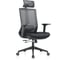 Кресло компьютерное EVOLUTION ERGO BLISS Black 1