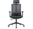 Кресло компьютерное EVOLUTION ERGO BLISS Black 2