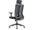 Кресло компьютерное EVOLUTION ERGO BLISS Black 5