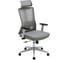 Кресло компьютерное EVOLUTION ErgoLine 3 Grey 4812755009599 2