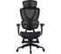 Кресло компьютерное EVOLUTION LX 1 Black 4812755009520 2