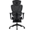 Кресло компьютерное EVOLUTION LX 1 Black 4812755009520 3