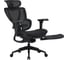 Кресло компьютерное EVOLUTION LX 1 Black 4812755009520 7