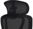 Кресло компьютерное EVOLUTION LX 1 Black 4812755009520 9