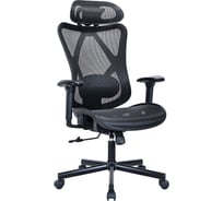 Кресло BRABIX PREMIUM Axion ER-701, синхромеханизм, рег. подголовник и спинка, сетка, черное 532965