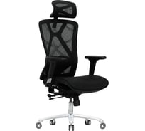 Кресло компьютерное EVOLUTION EXO F1 Mesh Black