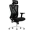 Кресло компьютерное EVOLUTION EXO F1 Mesh Black 1