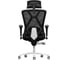Кресло компьютерное EVOLUTION EXO F1 Mesh Black 2