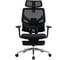 Кресло компьютерное EVOLUTION LumbarPro FR AL 4812755009155 2
