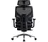 Кресло компьютерное EVOLUTION LumbarPro FR AL 4812755009155 6
