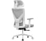 Кресло компьютерное EVOLUTION ErgoLine 2 Grey 4812755009698 4