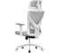 Кресло компьютерное EVOLUTION ErgoLine 2 Grey 4812755009698 5