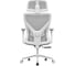 Кресло компьютерное EVOLUTION ErgoLine 2 Grey 4812755009698 6
