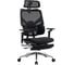 Кресло компьютерное EVOLUTION LumbarPro Elite Black 4812755009179 1