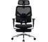 Кресло компьютерное EVOLUTION LumbarPro Elite Black 4812755009179 2