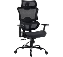 Кресло компьютерное EVOLUTION ZenMesh 4812755009261