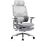 Кресло компьютерное EVOLUTION LumbarPro Elite Grey 4812755009186 1