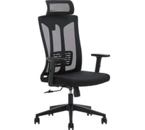 Кресло компьютерное EVOLUTION ErgoLine 4 4812755009605