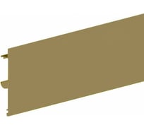 Маскировочная планка для раздвижных систем Valcomp HERKULES 60 и 120 цвет шампань 2201044