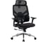 Кресло компьютерное EVOLUTION LumbarPro AL 1