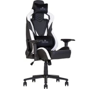 Геймерское кресло NOWY STYL HEXTER PRO R4D TILT MB70 ECO/02 BLACK/WHITE E-16939425