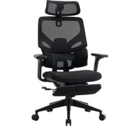 Кресло компьютерное EVOLUTION LumbarPro FR