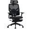 Кресло компьютерное EVOLUTION LumbarPro FR 1