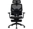 Кресло компьютерное EVOLUTION LumbarPro FR 2