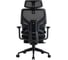 Кресло компьютерное EVOLUTION LumbarPro FR 6