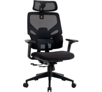 Кресло компьютерное EVOLUTION LumbarPro