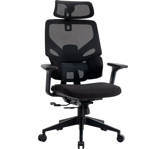 Кресло компьютерное EVOLUTION LumbarPro 1