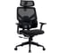Кресло компьютерное EVOLUTION LumbarPro 1