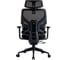Кресло компьютерное EVOLUTION LumbarPro 6