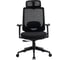 Кресло компьютерное EVOLUTION HybridFlex Black 1