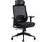 Кресло компьютерное EVOLUTION HybridFlex Black 2