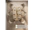 Раскладной стол СОКОЛ дуб делано СП-12 00-00009454 10