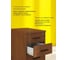 Тумба подкатная ТМ-3.А.BH Орех Французский 412х450х551 COMP SKYLAND 00-07199911 5