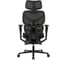 Кресло компьютерное EVOLUTION LX 5 Black 4