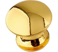 Мебельная ручка Локри 8329S GOLD