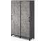 Шкаф-купе Kobor HK/5-120/60/M black/chicago 221938 1