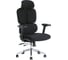 Кресло компьютерное Evolution DynamicBalance Black 1