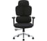 Кресло компьютерное Evolution DynamicBalance Black 2