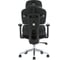 Кресло компьютерное Evolution DynamicBalance Black 3
