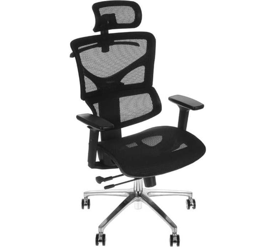 Кресло компьютерное Evolution ERGO Mesh