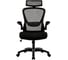 Кресло компьютерное ZONE51 VECTIS LIFE Black Z51-FLC-VCL-BK 1