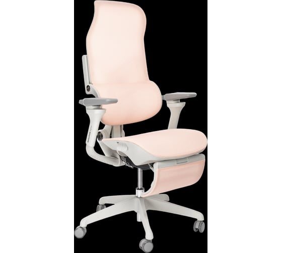 Кресло компьютерное EVOLUTION Zephyr Pink 1