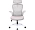 Кресло компьютерное ZONE51 VECTIS LIFE Beige Z51-FLC-VCL-BE 1
